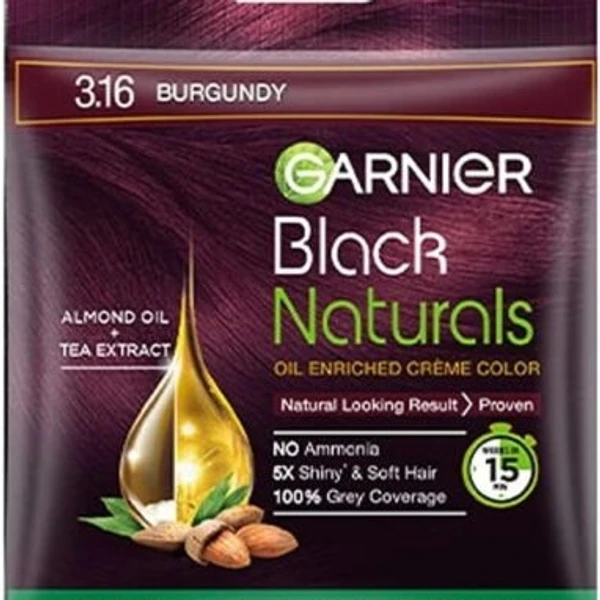 Garnier Black Naturals Creme Hair Color,  3.16  Burgundy 20ml+20g 