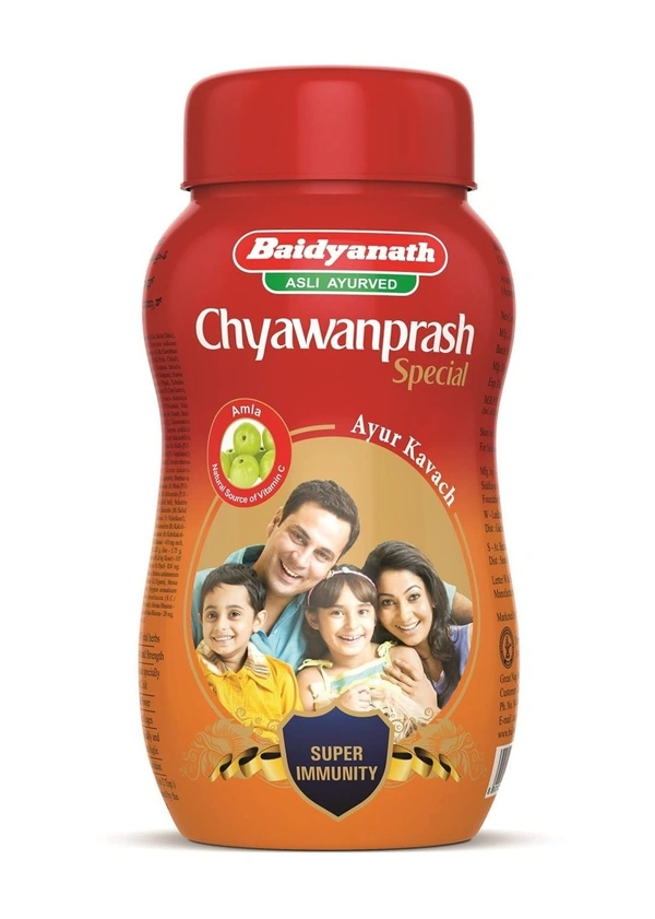 Baidyanath Chyawanprash 500g - 