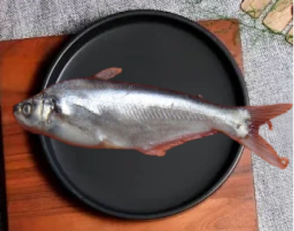Bachwa / Basa Fish - 500g