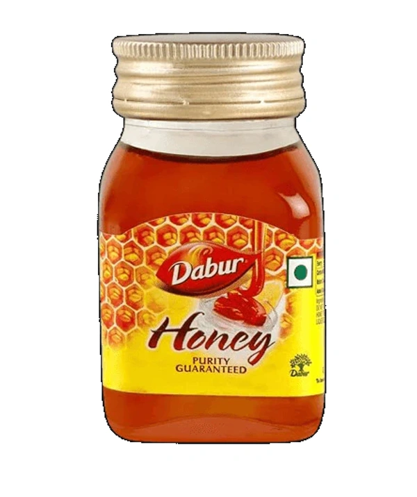 Dabur Honey 100gm