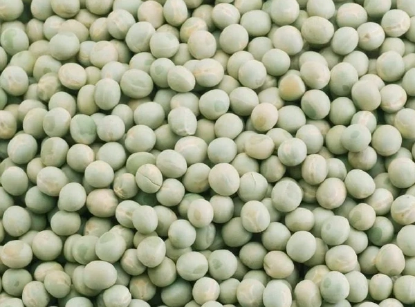 Green Matar Dry - 250g