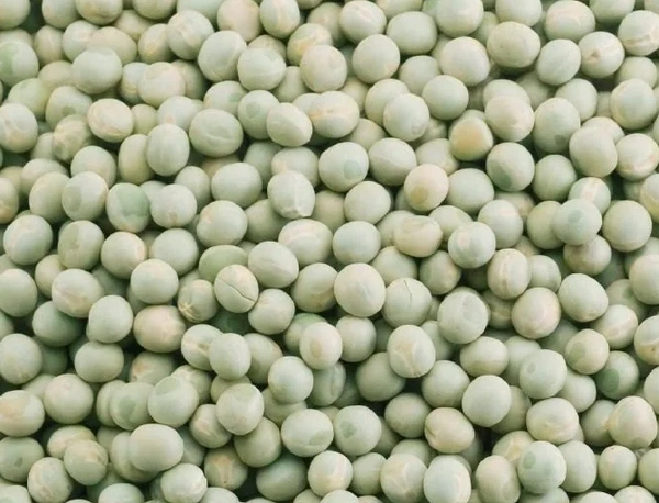 Green Matar Dry - 100g
