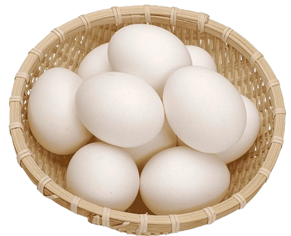 Duck Egg 12 Piece