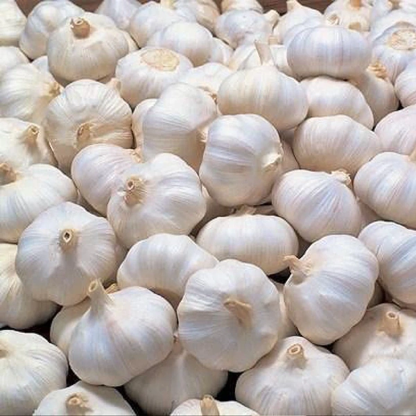 Lahsun Small - 250g