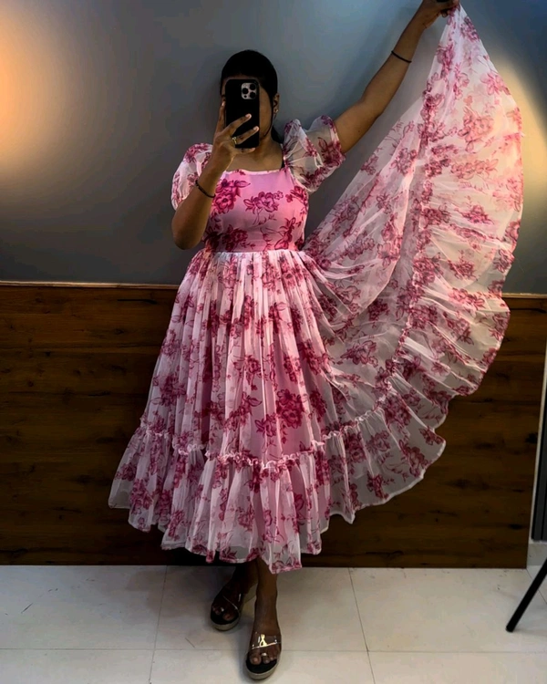 Cinderella Organza Gown