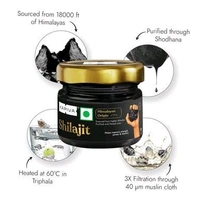 Kapiva Himalayan Shilajit/Shilajeet Resin, 100g - Performance Booster For Endurance and Stamina