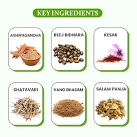 Raja Maharaja Nuskha:- The Ultimate Performance Booster