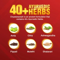 Dabur Chyawanprash : 3X Immunity Action - 250gm