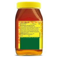 Dabur Honey 600gm - 600gm