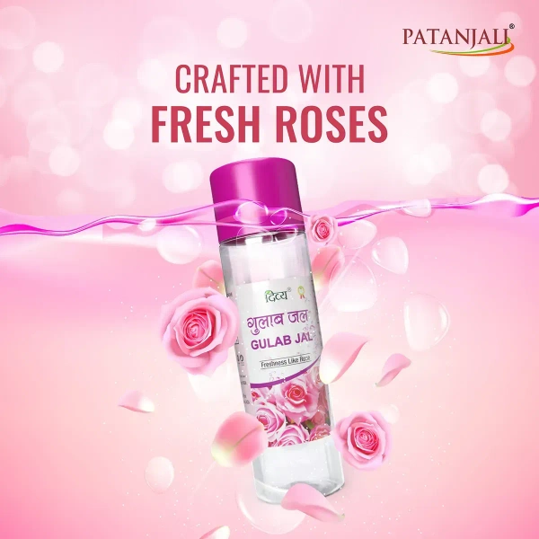 Patanjali Ayurved Limited Divya Gulab Jal - 120ml