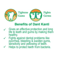 Patanjali Ayurved Limited Patanjali Dant Kanti Natural Toothpaste - 200gm