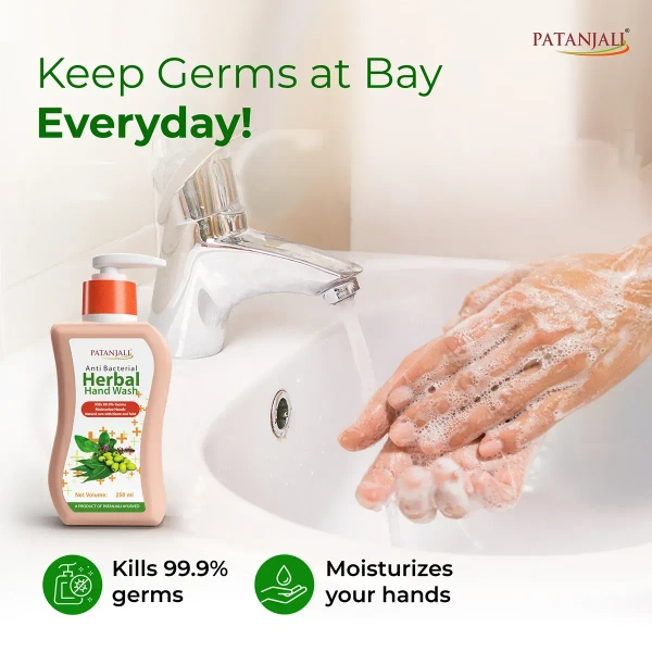 Patanjali Ayurved Limited Patanjali Herbal Hand Wash (Anti Bacterial) pump - 250ml