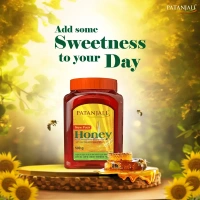 Patanjali Foods Limited Patanjali Honey - 500gm