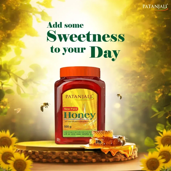 Patanjali Foods Limited Patanjali Honey - 500gm
