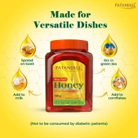 Patanjali Foods Limited Patanjali Honey - 500gm