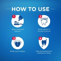 Pepsodent Germicheck 12h Germ Protection Toothpaste, 100g - 100gm