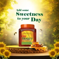 Patanjali Foods Limited Patanjali Honey - 250gm