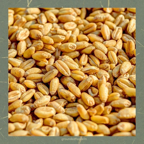 Sharbati Wheat Flour - Sihore Premium 1kg - 1 kg, Roti Coarse