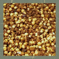 Satoo | Roasted gram flour | 500 g