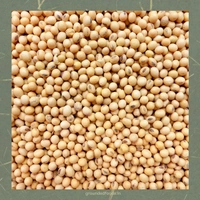 Soyabean flour | 1kg