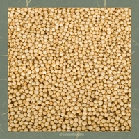 Jowar Flour | Sorghum | 1kg - 1 kg