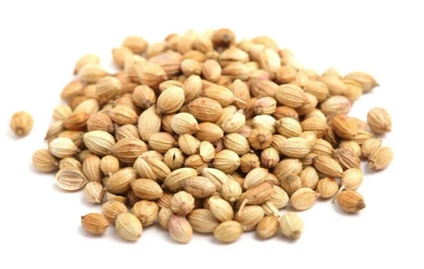 Coriander Seeds Premium whole | 100g