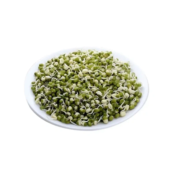 Green Gram Sprout | 200g