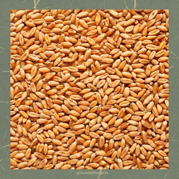 Rajwadi Wheat flour - Roti Coarse Ground, 10 kg