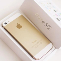 Apple Iphobe 5s 16gb Brand New Phone - gold
