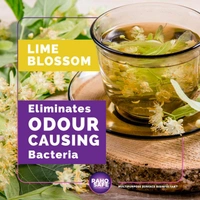 MULTIPURPOSE SURFACE DISINFECTANT- LIME BLOSSOM (1N)