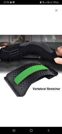 Back Support Device