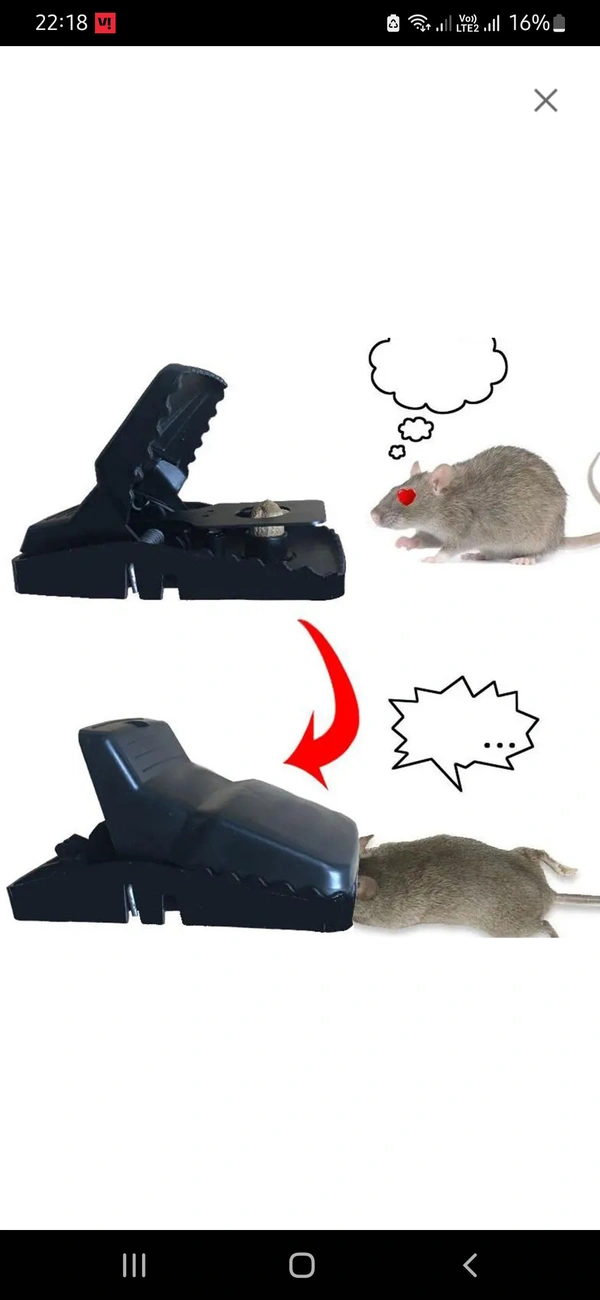 Rat Catcher