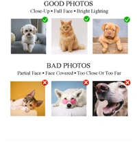 Personalized Pet Photo Acrylic Keychain - Buy 1 at Rs 399