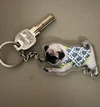 Personalized Pet Photo Acrylic Keychain - Buy 2 at Rs 599