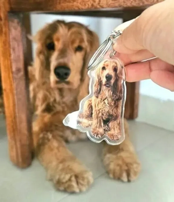 Personalized Pet Photo Acrylic Keychain - Buy 2 at Rs 500