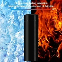 Stainless Steel Vacuum Bottle with LED
Temperature 500 ml Flask (Pack of 1, Black, Steel)