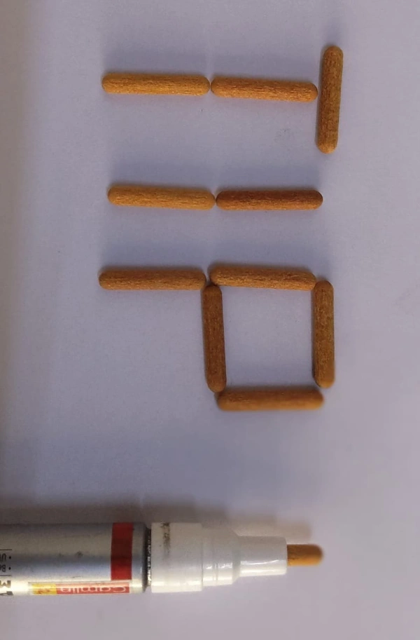 camlin paint marker with extra tip free pack of 10 | Royal Stationers Best Quality Guarantee