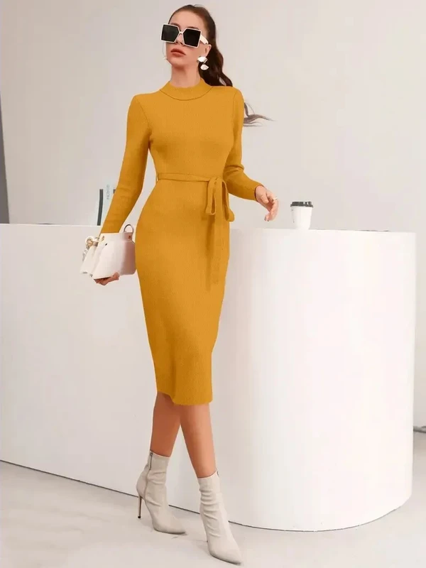 Stylish Lycra Dress For Women