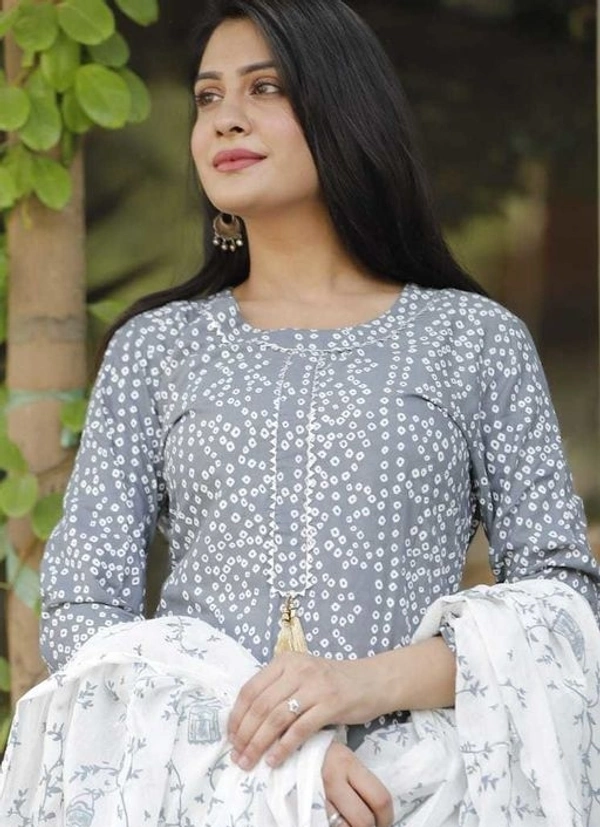 Aishani Graceful Women Kurta Sets - L