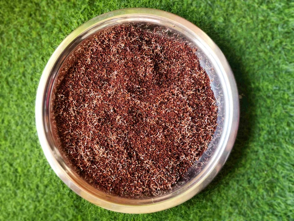 Sprouted Ragi Powder1kg