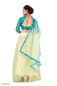 Attractive Embroidered Net Lehenga - Semi Stitched