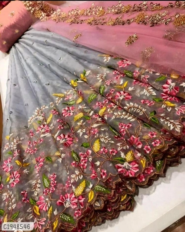 Delicate Embroidered Net Lehenga  - Semi Stitched