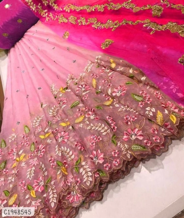 Delicate Embroidered Net Lehenga  - Semi Stitched