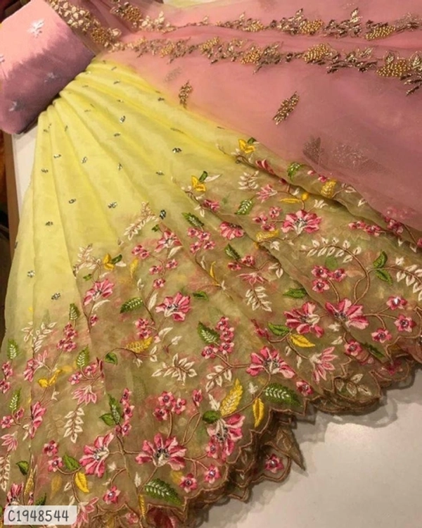 Delicate Embroidered Net Lehenga  - Semi Stitched