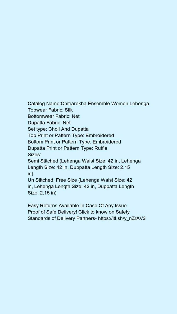 Women's Grey Color Net Lehenge - Free Size