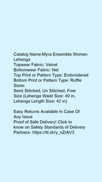 fancy net lengha - FREE SIZE