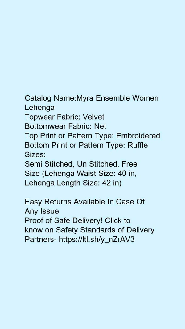 fancy net lengha - FREE SIZE