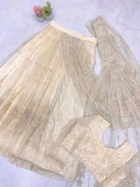 Butterfly Net Ready To Wear Saree With Stiched Blouse