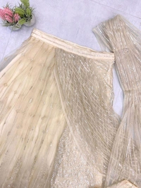 Butterfly Net Ready To Wear Saree With Stiched Blouse