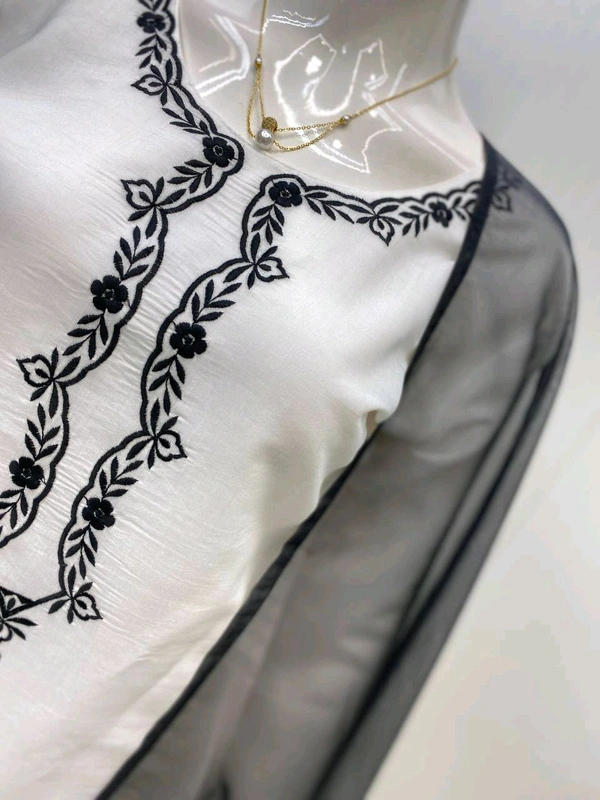 Designer Organza Silk Farsi Salwar Suit - XXL